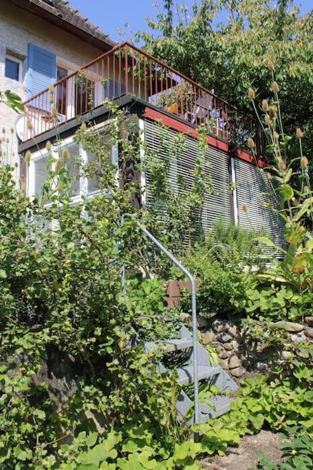 Erholung Mit Seesicht, Terrasse Und Garten Uberlingen Bagian luar foto