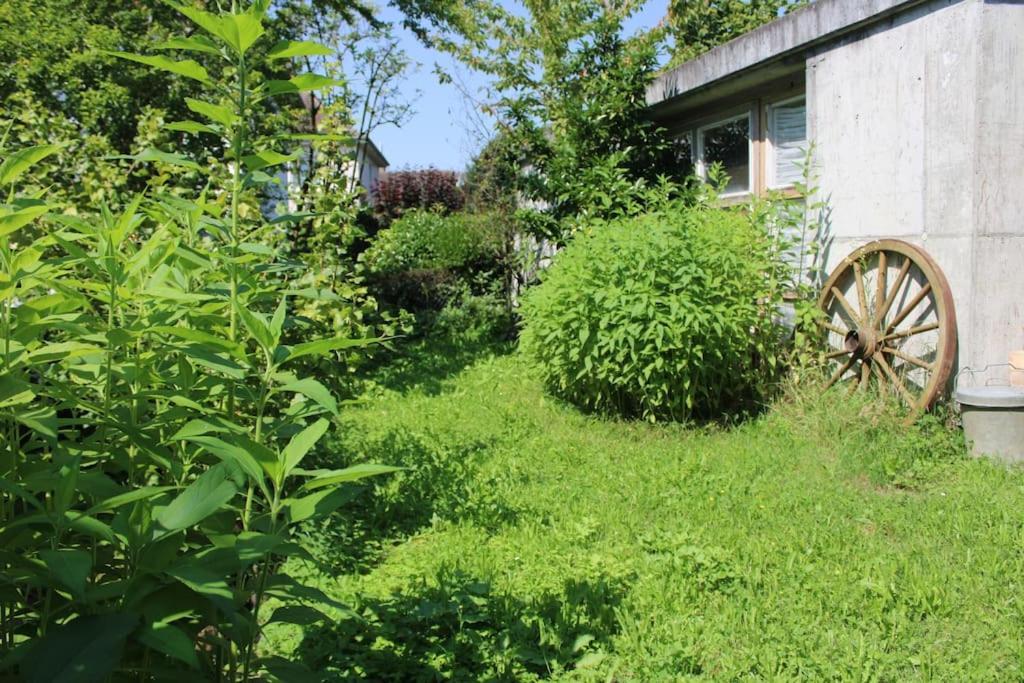 Erholung Mit Seesicht, Terrasse Und Garten Uberlingen Bagian luar foto